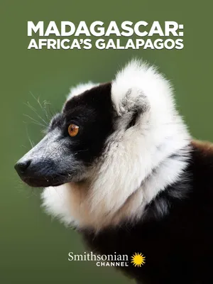 Madagascar: africa's galapagos